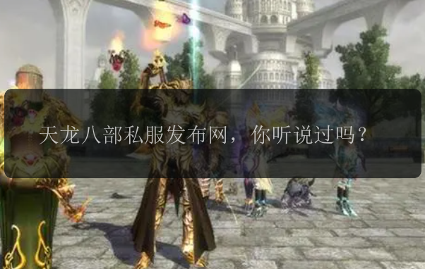 天龙八部私服发布网，你听说过吗？