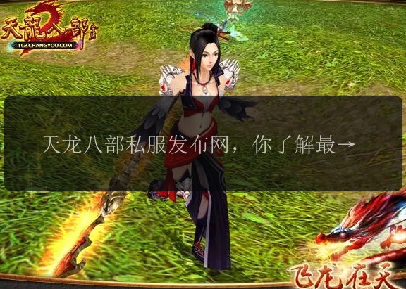 天龙八部私服发布网，你了解最新的私服资讯吗？